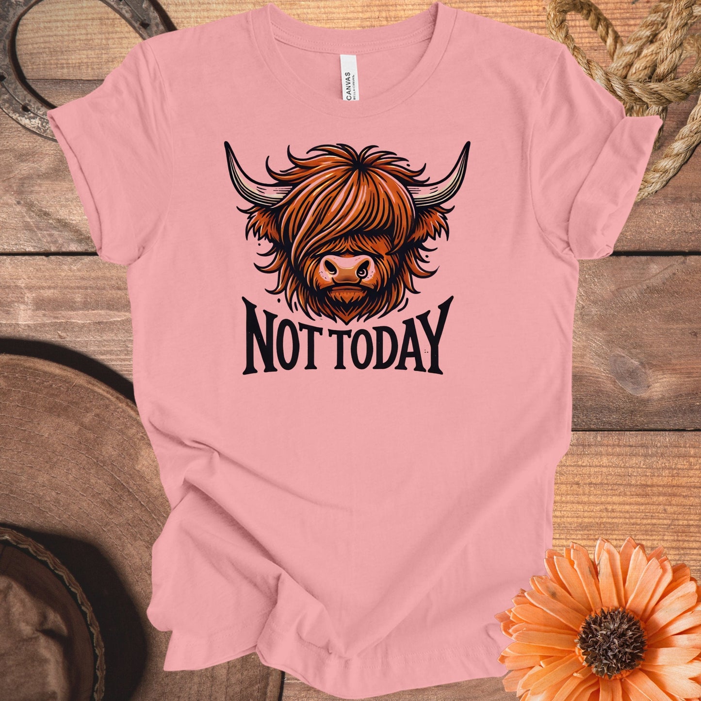 Not Today Highland Cow Graphic Tee Product Type