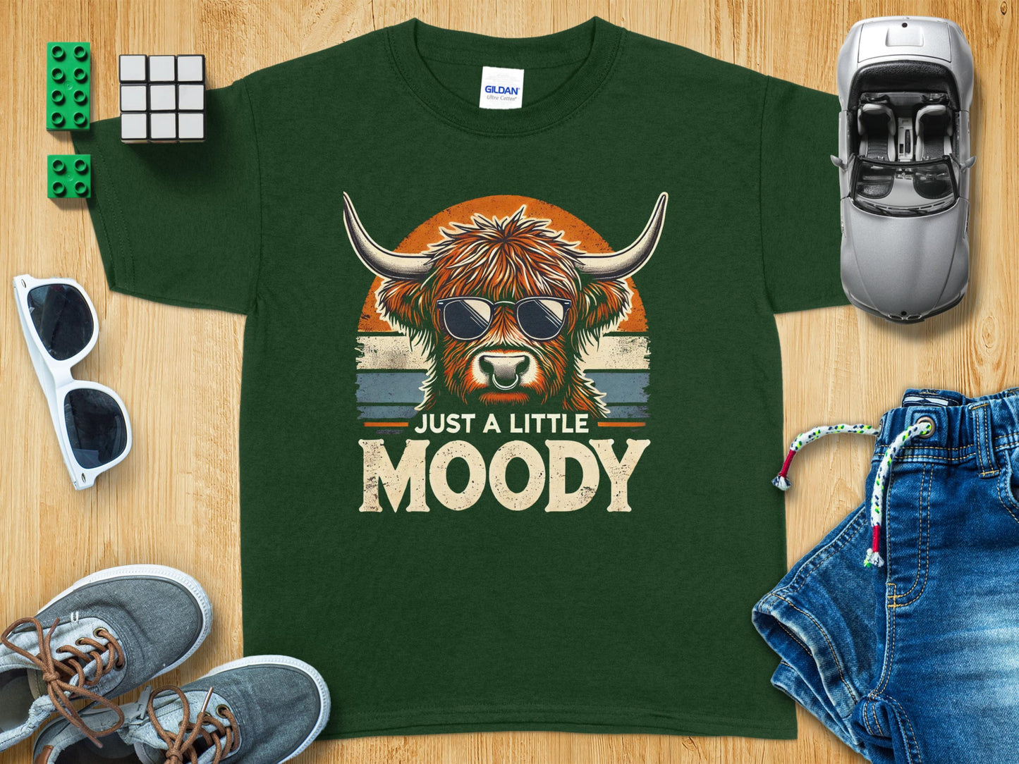 Just A Little Moody Highland Cow Graphic Shirt product type