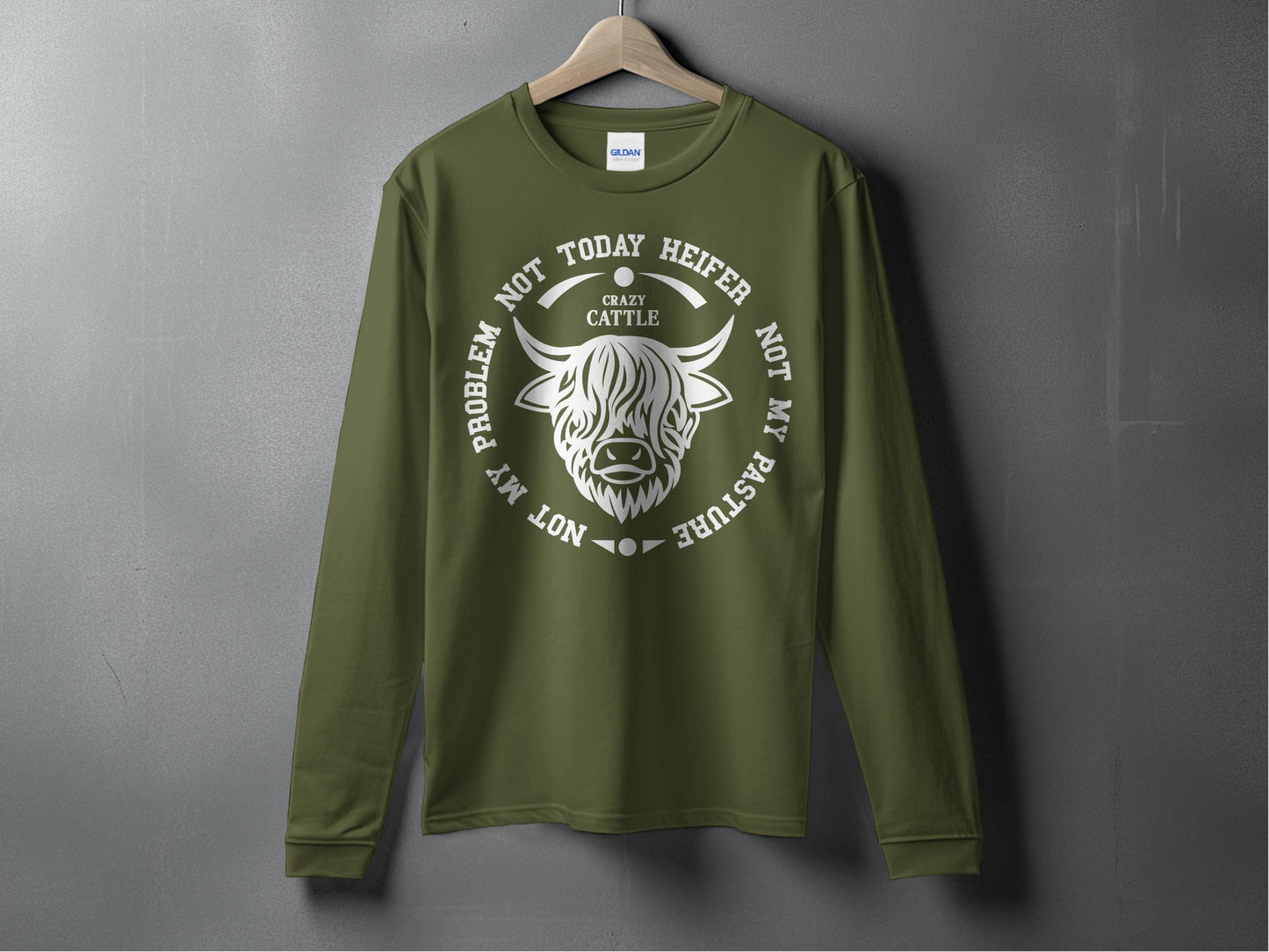 Not Today Heifer Not My Problem Graphic Long Sleeve product type