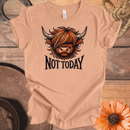 Funny Highland Cow Not Today Unisex T-Shirt product