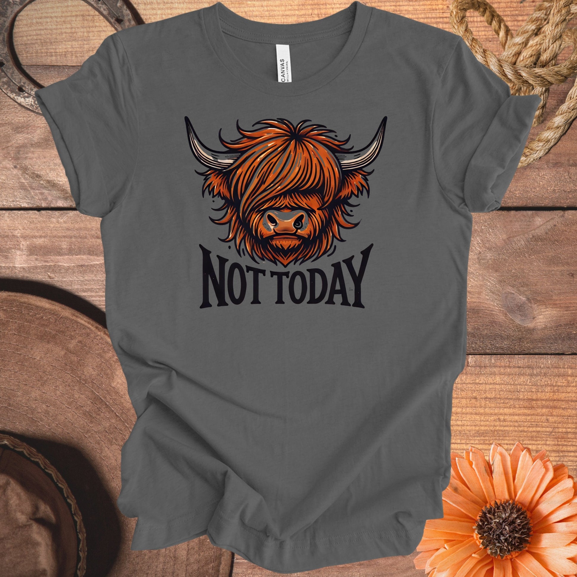 Not Today Highland Cow Graphic Tee Shirt product