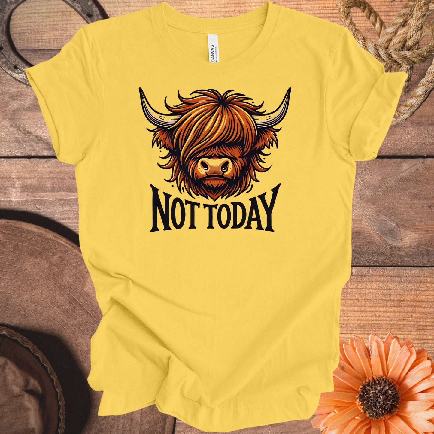 Not Today Highland Cow Graphic T-Shirt product type